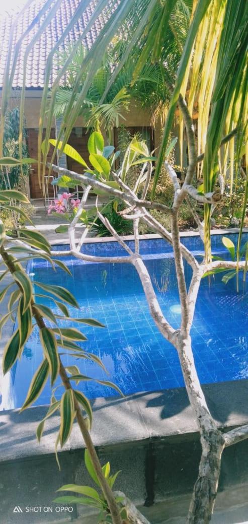 Belong Home Stay Lembongan Dış mekan fotoğraf