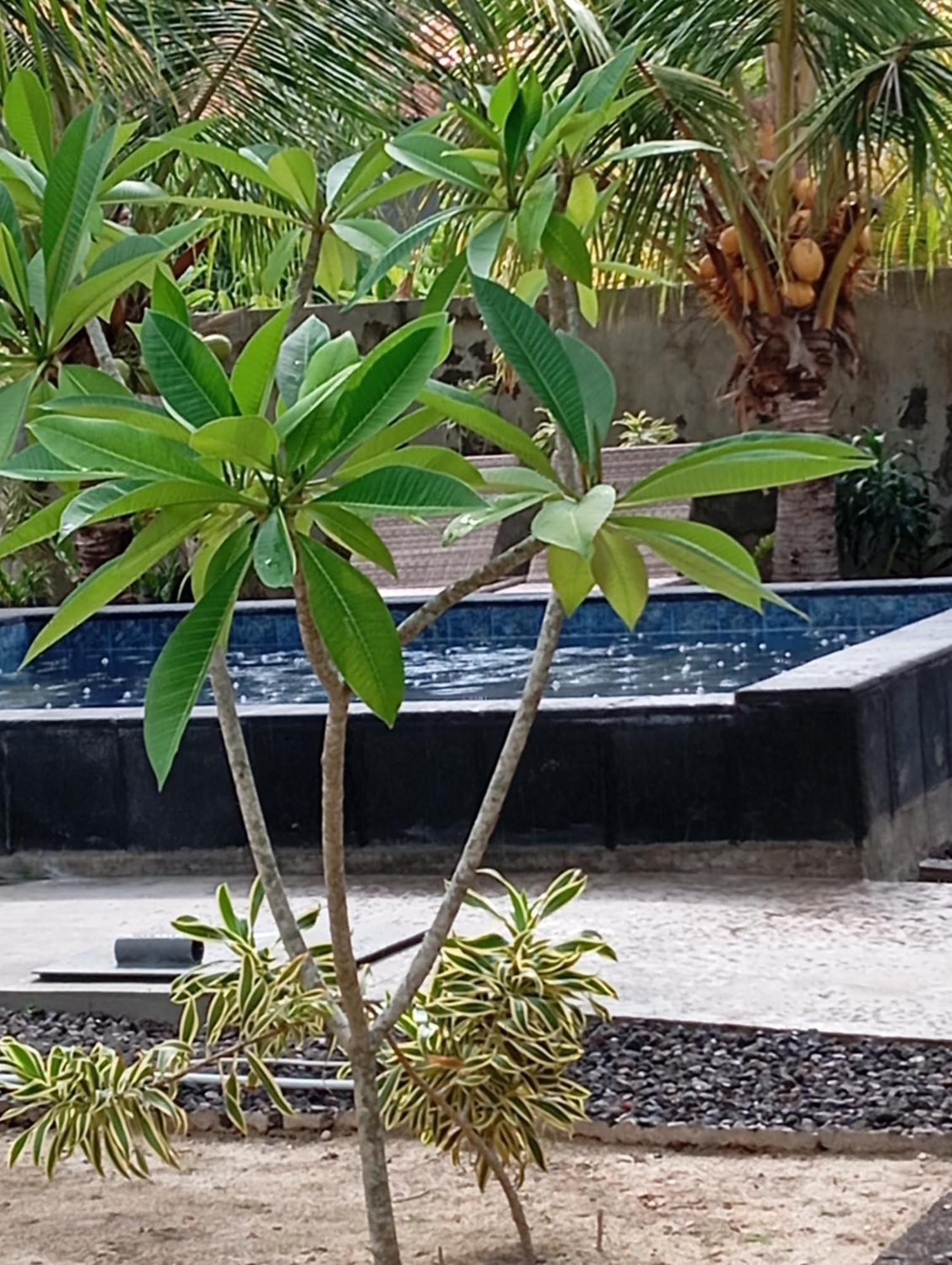 Belong Home Stay Lembongan Dış mekan fotoğraf