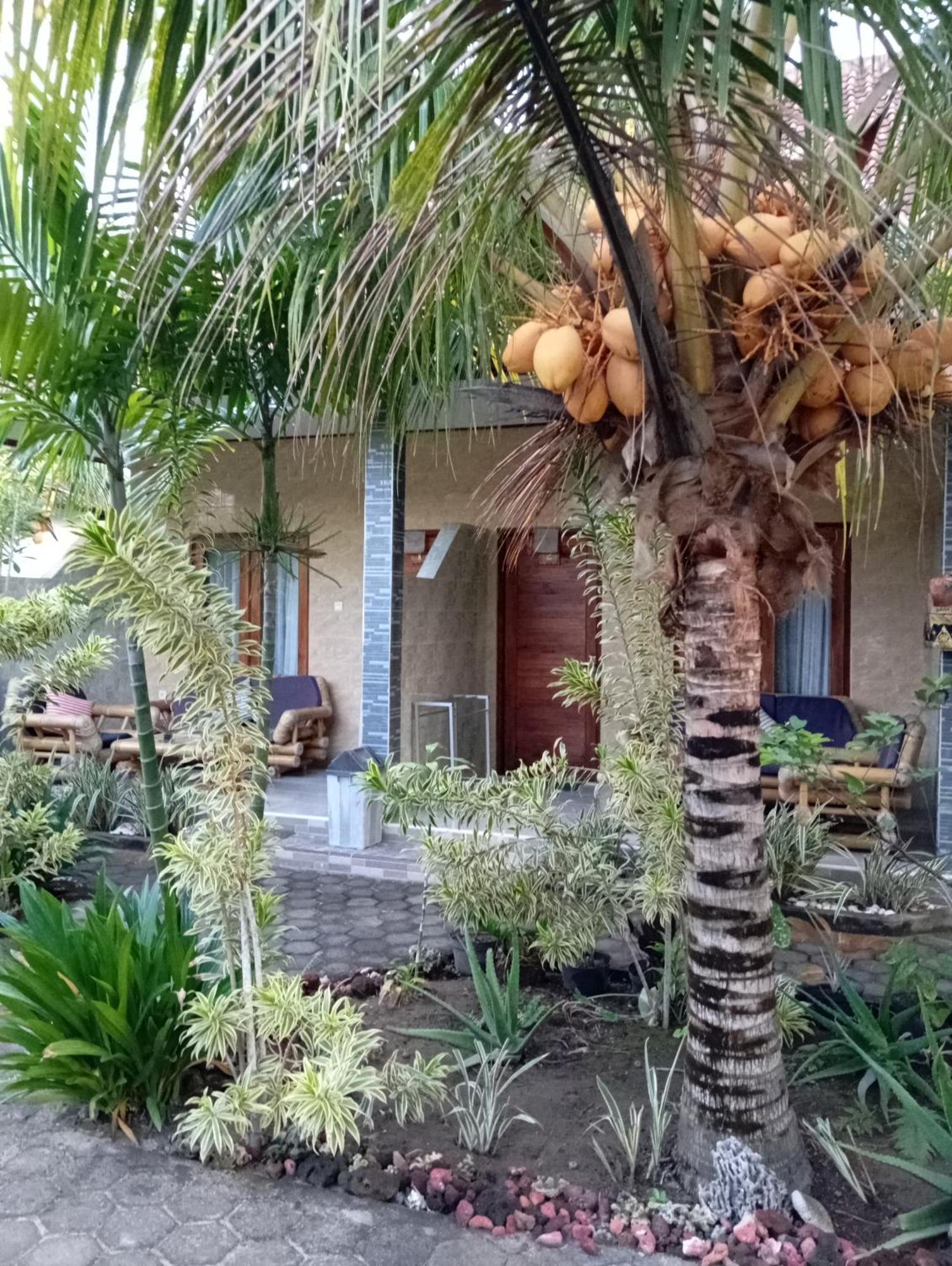 Belong Home Stay Lembongan Oda fotoğraf